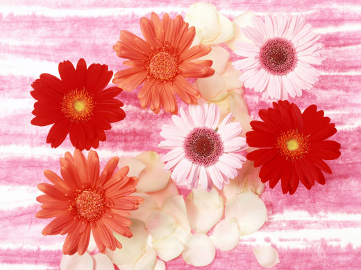 421597 (a): :1600x1200
